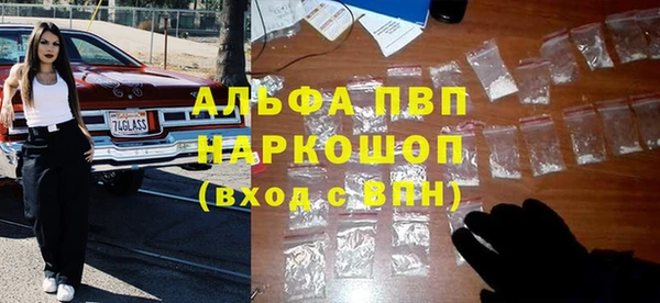 сатива Богородицк