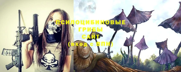 гашиш Богданович