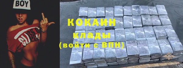 гашиш Богданович