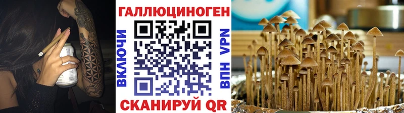 Псилоцибиновые грибы Magic Shrooms  наркотики  kraken как зайти  Добрянка 